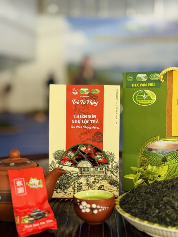 thien son ngu loc tra